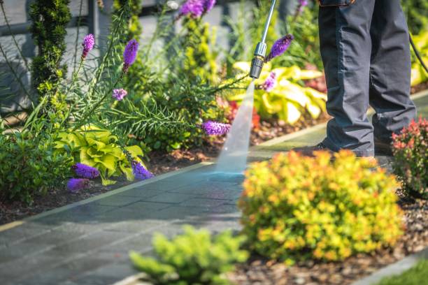 Best Pool Deck Cleaning  in South Run, VA